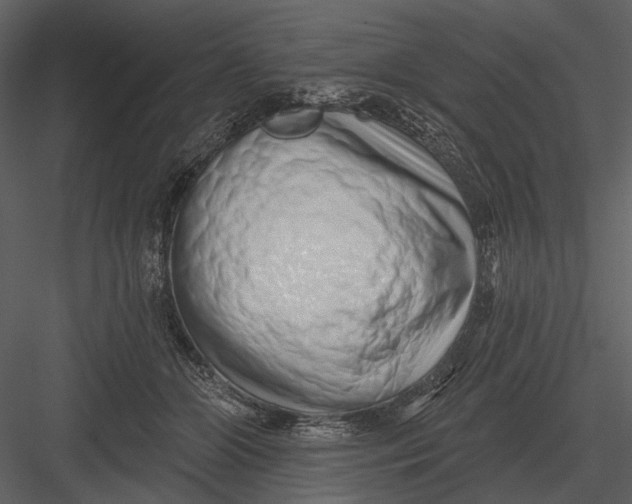 X0000082930510200702222223