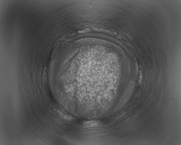 X0000082930511200702222223