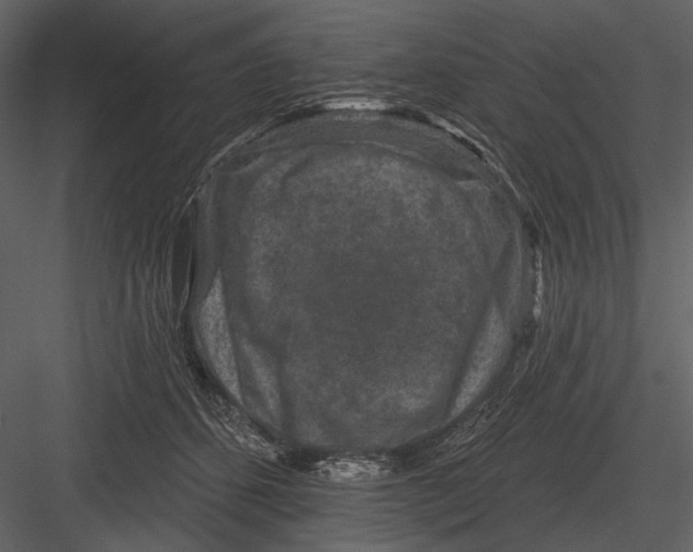 X0000082930512200702222223