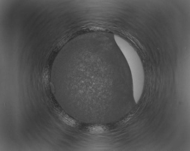 X0000082930513200702222223