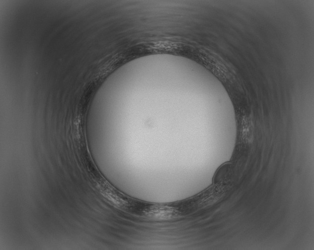 X0000082930514200702222223