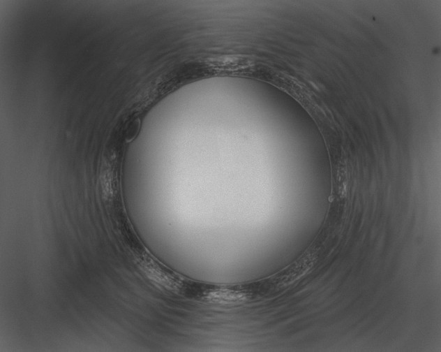 X0000082930515200702222223