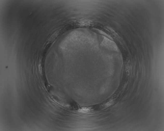 X0000082930516200702222223