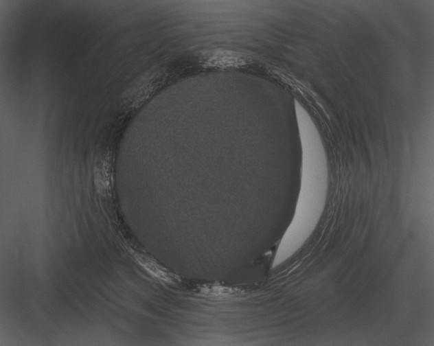 X0000082930517200702222223