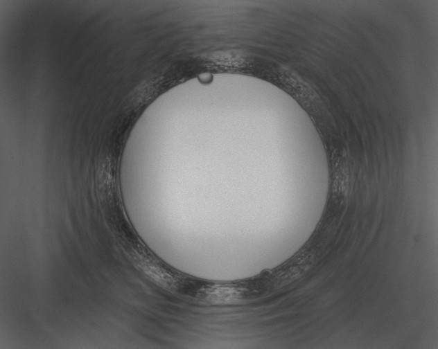 X0000082930518200702222223