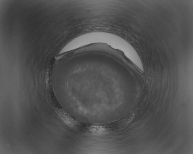 X0000082930519200702222223