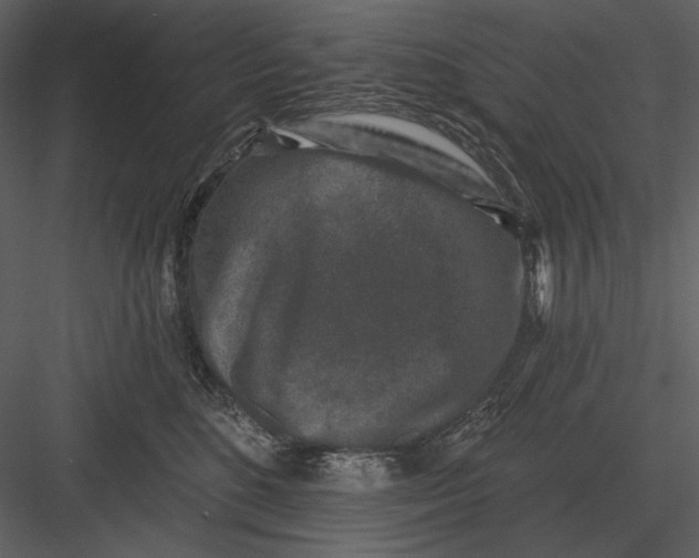 X0000082930520200702222223