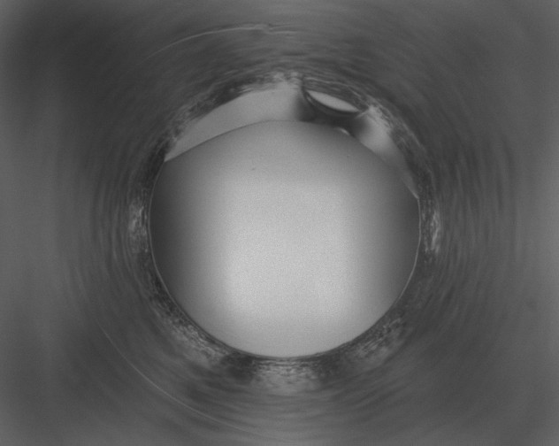 X0000082930521200702222223