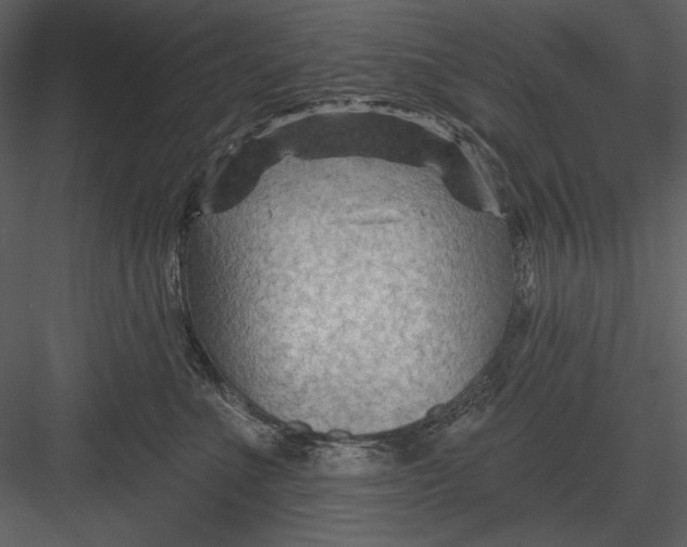 X0000082930523200702222223