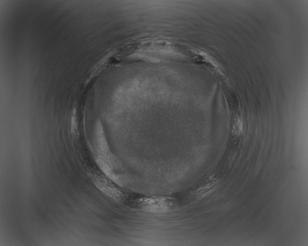 X0000082930524200702222223