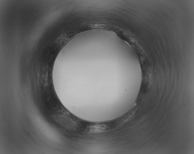 X0000082930525200702222223