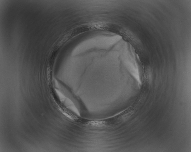 X0000082930526200702222223