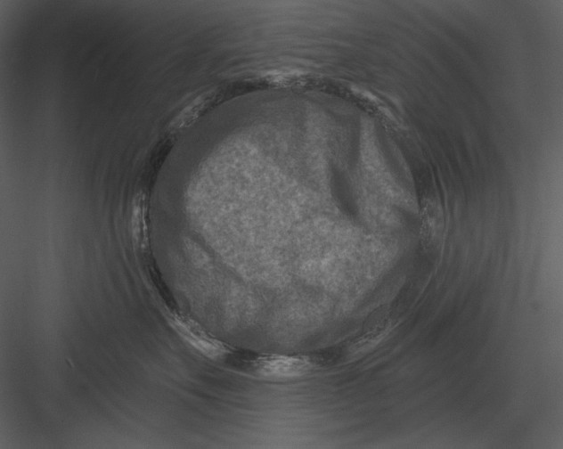 X0000082930527200702222223