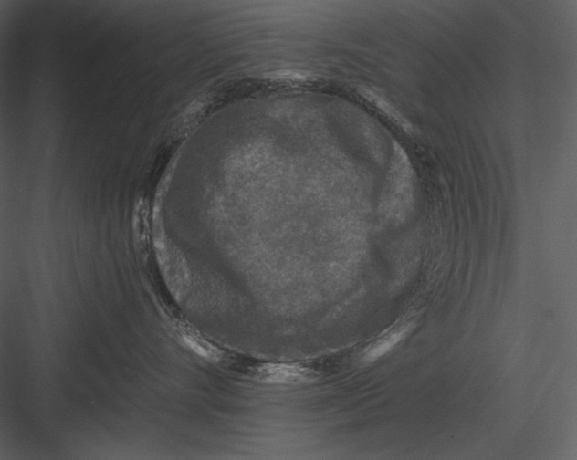 X0000082930528200702222223