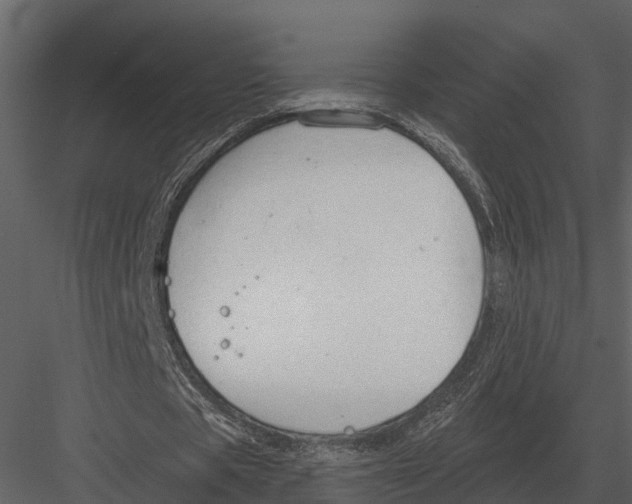 X0000082930529200702222222