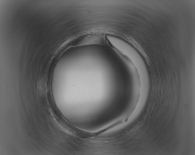 X0000082930530200702222222