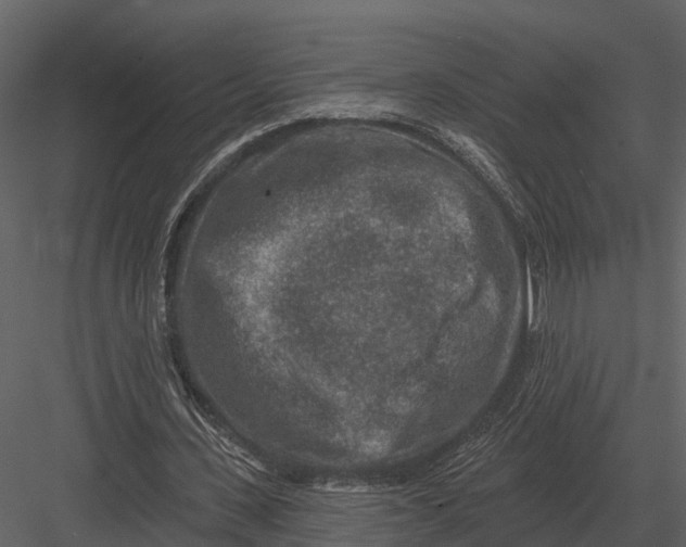 X0000082930531200702222222