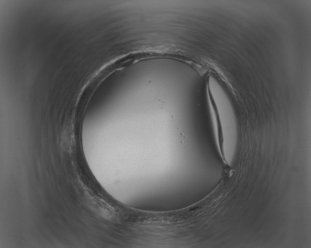 X0000082930532200702222222