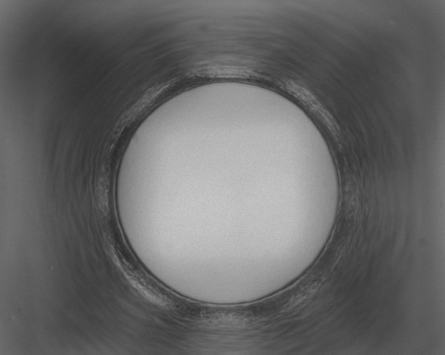 X0000082930533200702222222