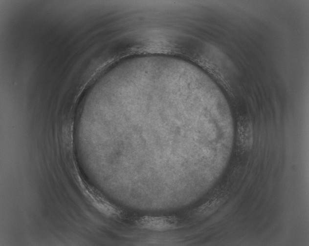 X0000082930534200702222222