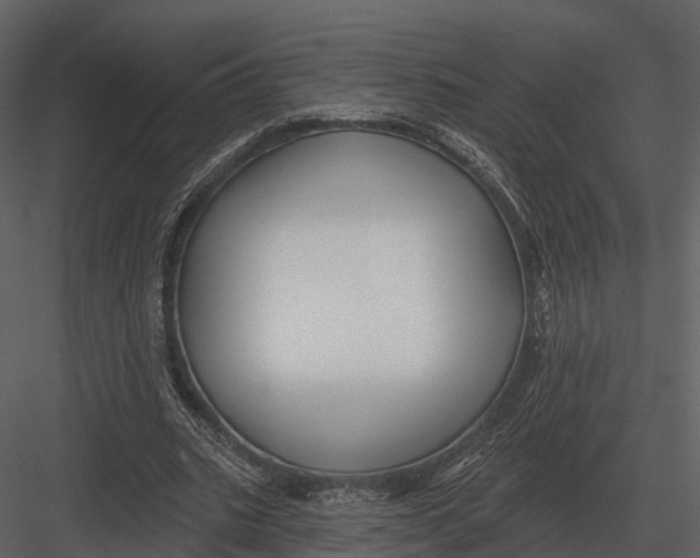 X0000082930535200702222222