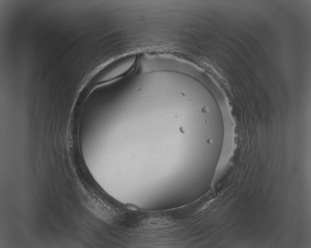 X0000082930536200702222222