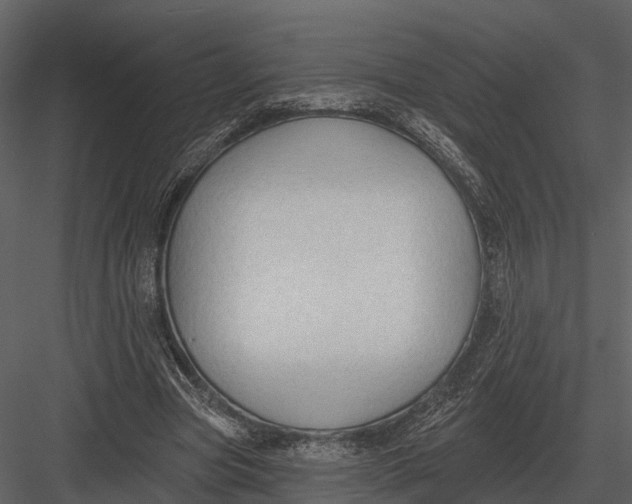 X0000082930537200702222222