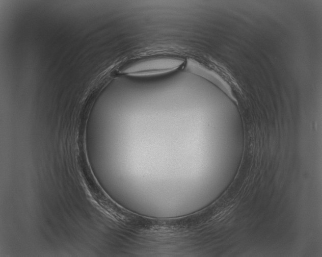 X0000082930538200702222222