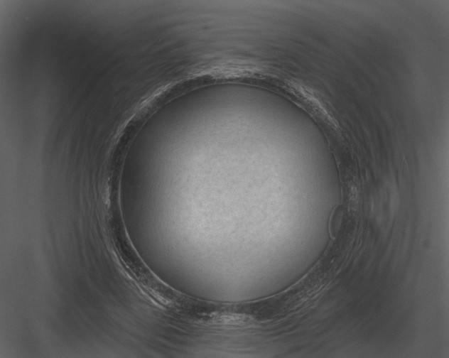 X0000082930539200702222222