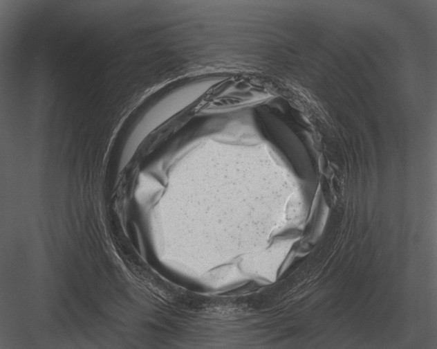 X0000082930540200702222222