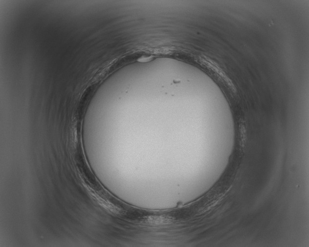 X0000082930541200702222222