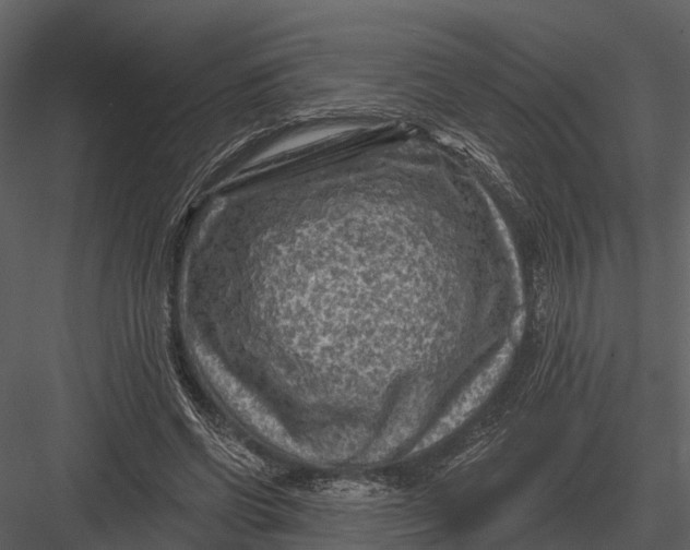 X0000082930542200702222222