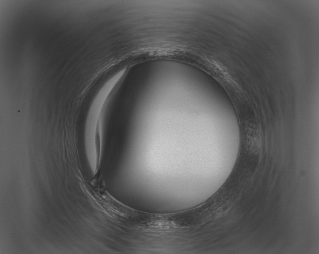 X0000082930543200702222222