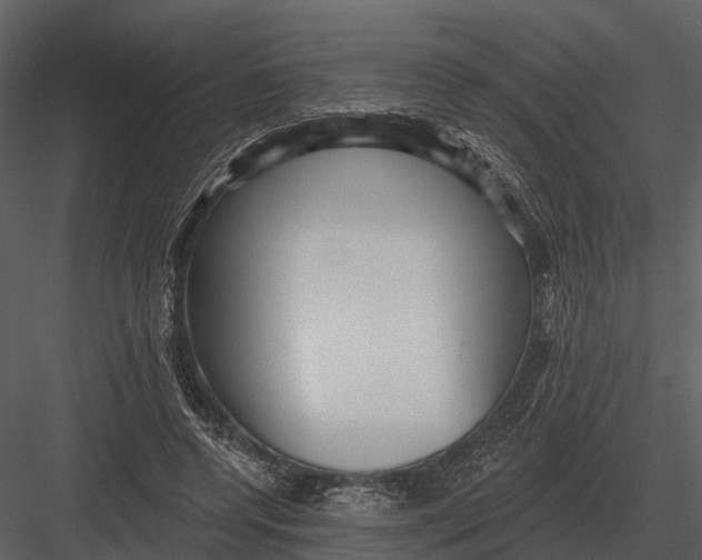 X0000082930544200702222222