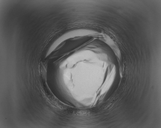 X0000082930546200702222222