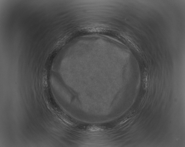 X0000082930547200702222222