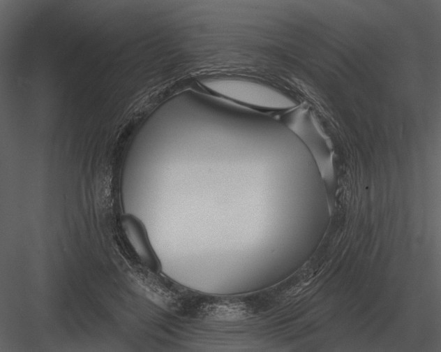 X0000082930548200702222222