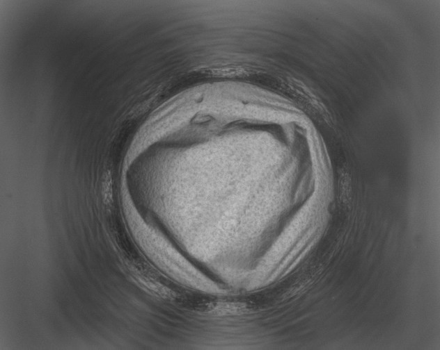 X0000082930549200702222222