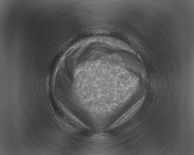 X0000082930550200702222222