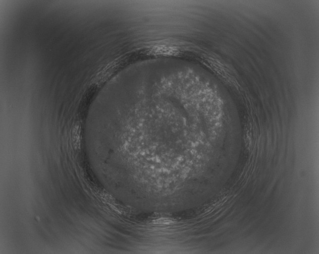 X0000082930551200702222222