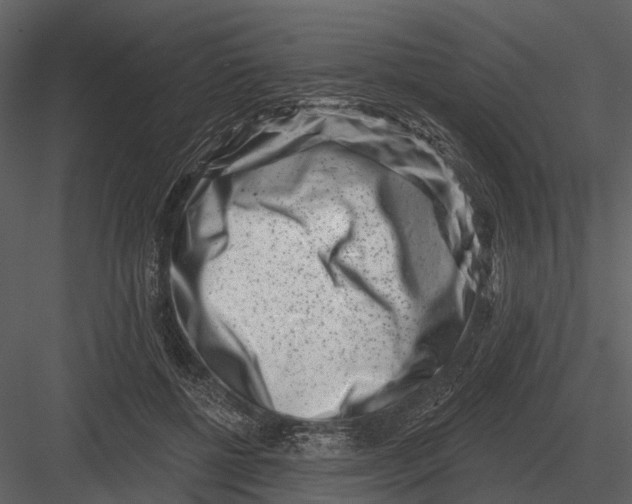 X0000082930552200702222222