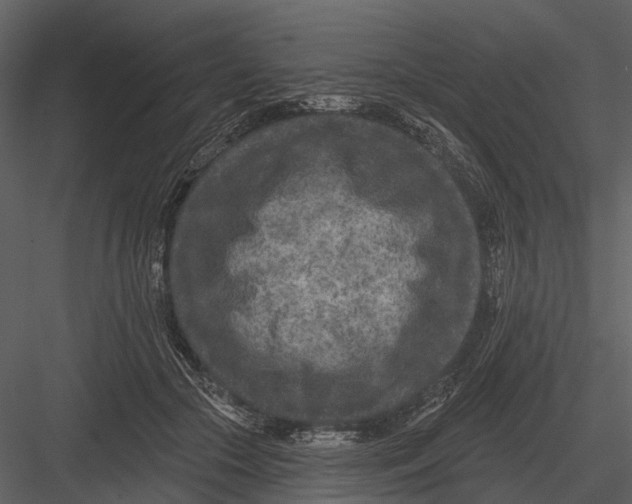 X0000082930553200702222222