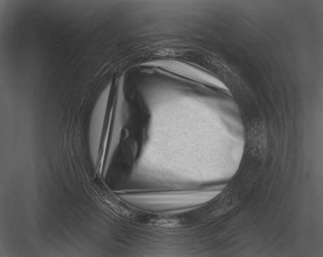 X0000082930554200702222222