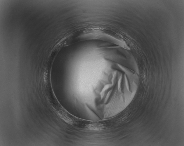 X0000082930556200702222222