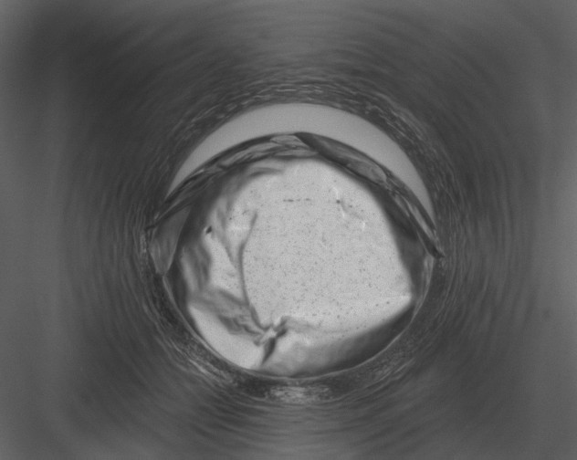 X0000082930558200702222222