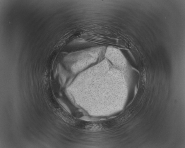 X0000082930559200702222222