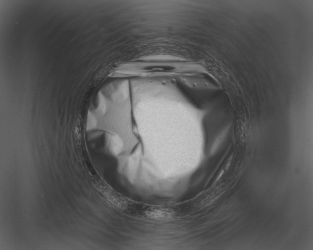 X0000082930561200702222222