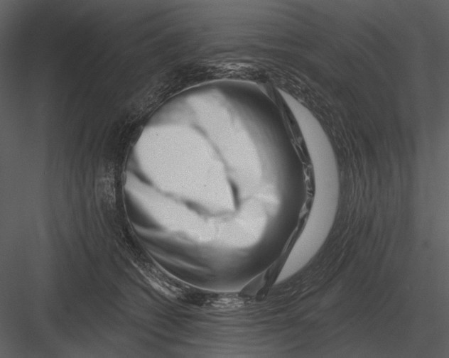 X0000082930562200702222222