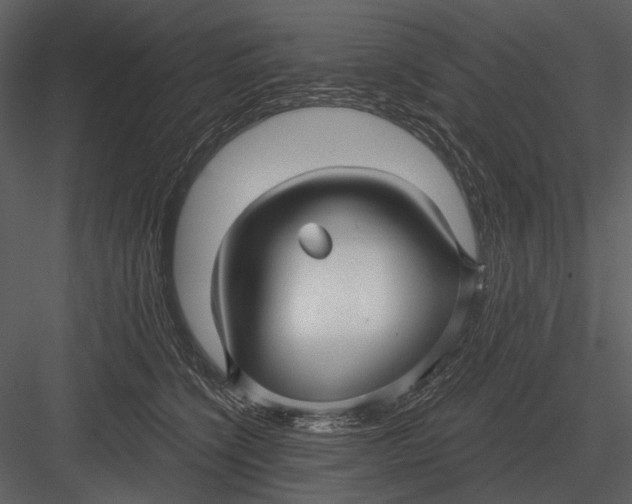 X0000082930564200702222222