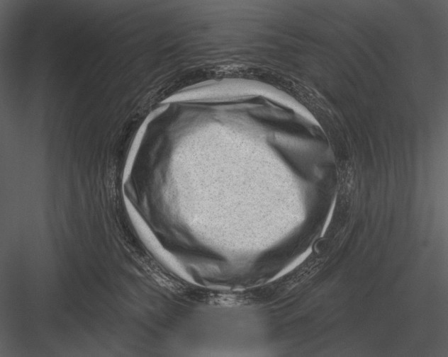 X0000082930565200702222222